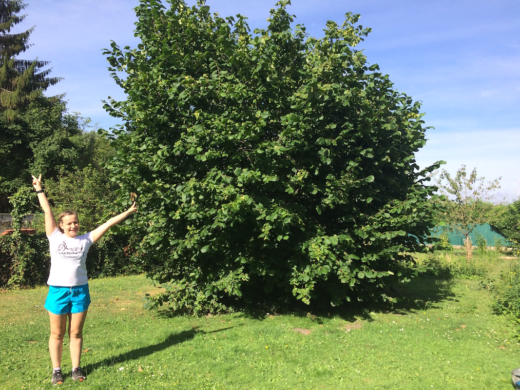 Courir pour son anniversaire