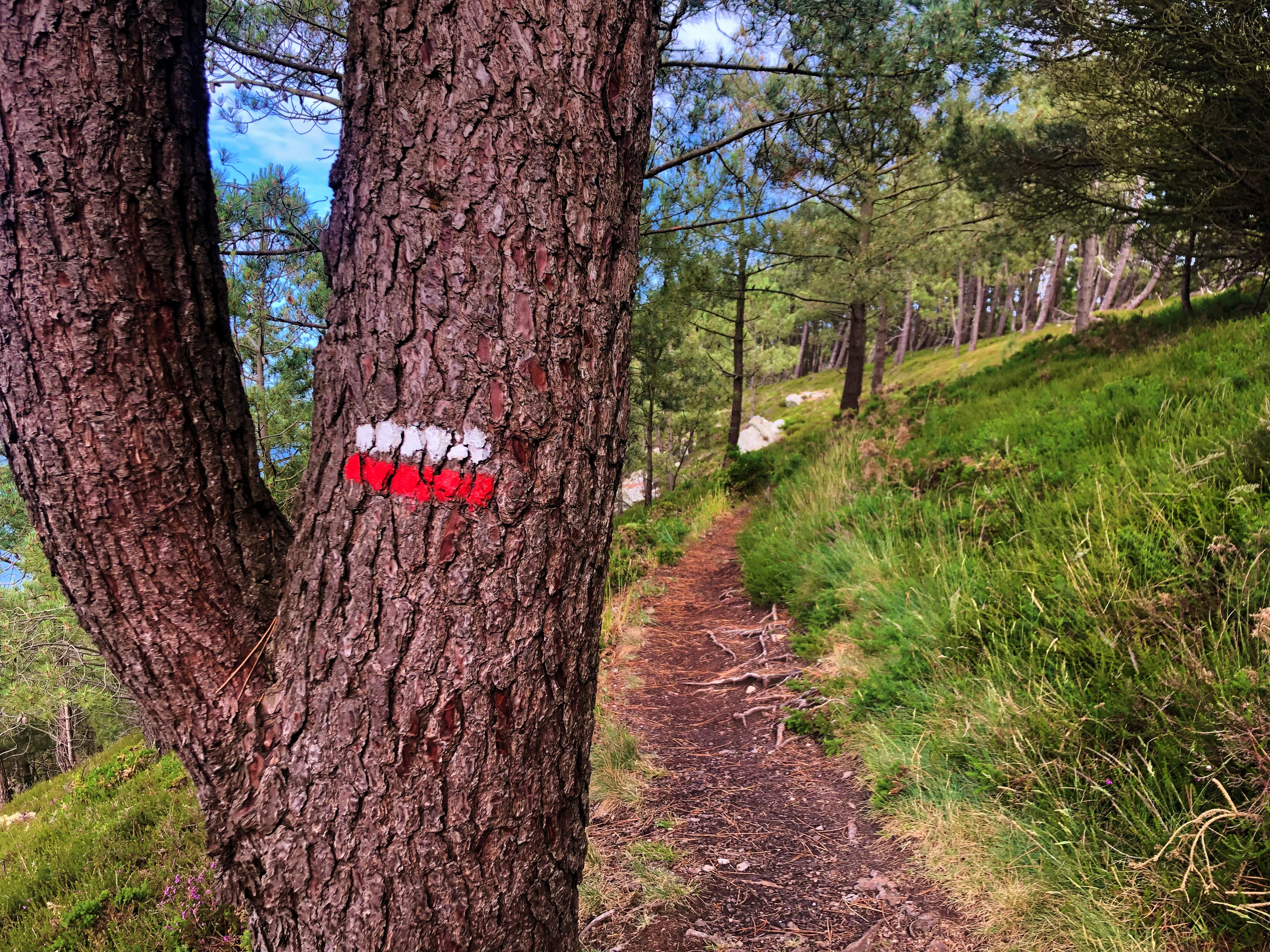 Balisage Pin Sentier Côtier