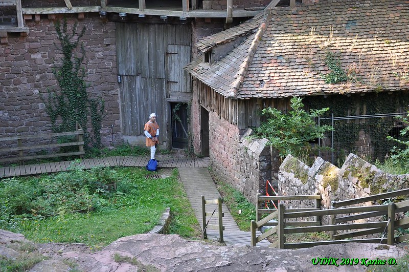 Château trail du Haut-Koenigsbourg